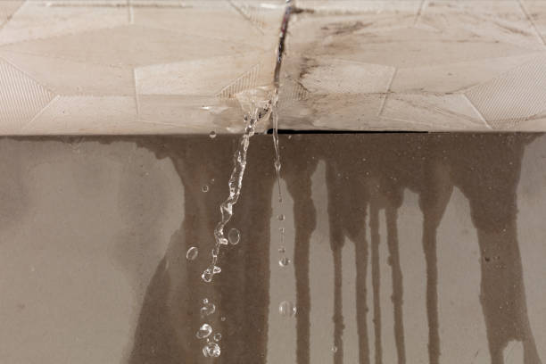 Professional Structural Drying technician working in New Lisbon, NJ